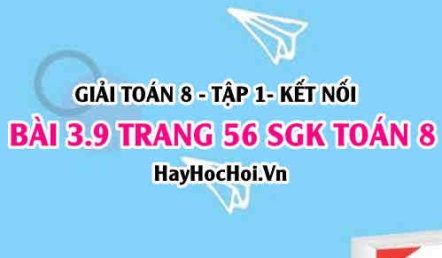 Giải bài 3.9 trang 56 Toán 8 Tập 1 SGK Kết nối tri thức